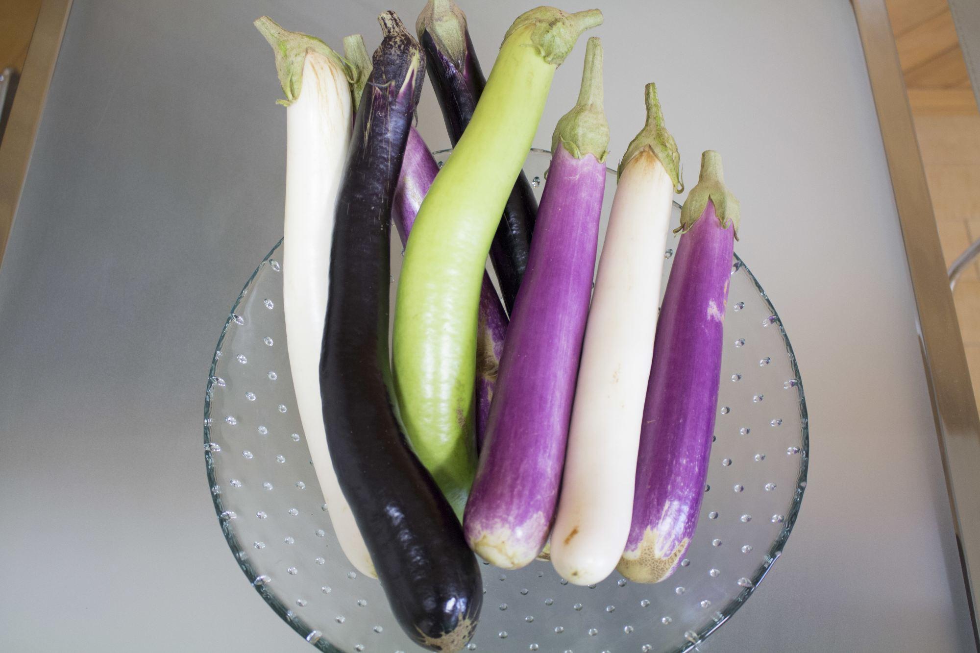 お客様からの贈り物。大きな夏野菜のナス